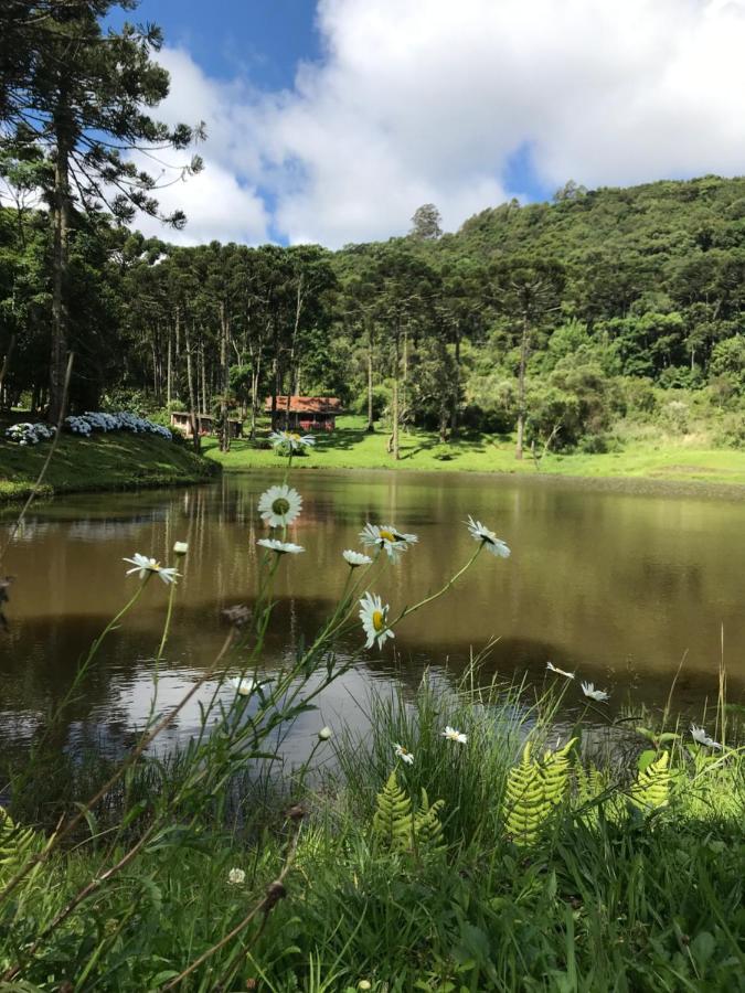 Green Mountains Hotel مونتي فيردي المظهر الخارجي الصورة